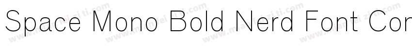 Space Mono Bold Nerd Font Complete字体转换
